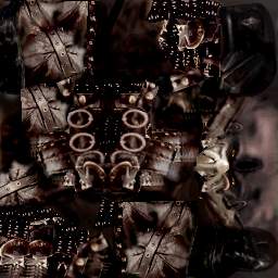 evolution.jpg (14892 bytes)